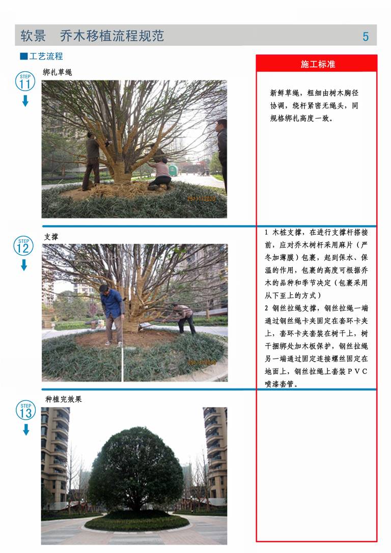 棕榈园林技术交底文件｜硬景与绿化施工｜94页PDF 内容预览