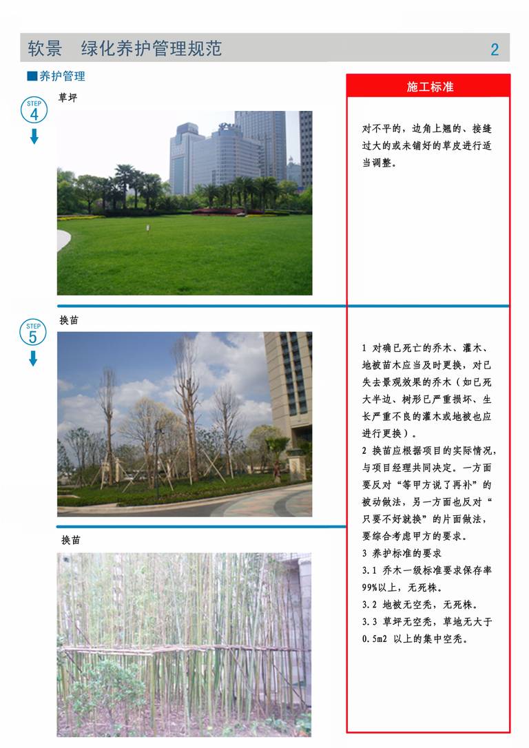 棕榈园林技术交底文件｜硬景与绿化施工｜94页PDF 内容预览