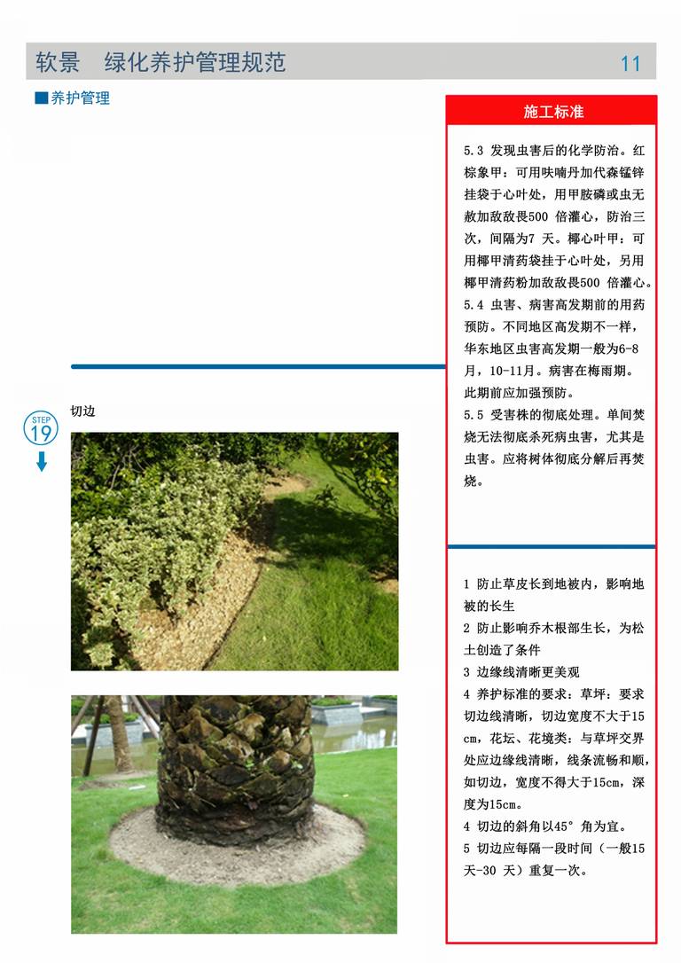 棕榈园林技术交底文件｜硬景与绿化施工｜94页PDF 内容预览
