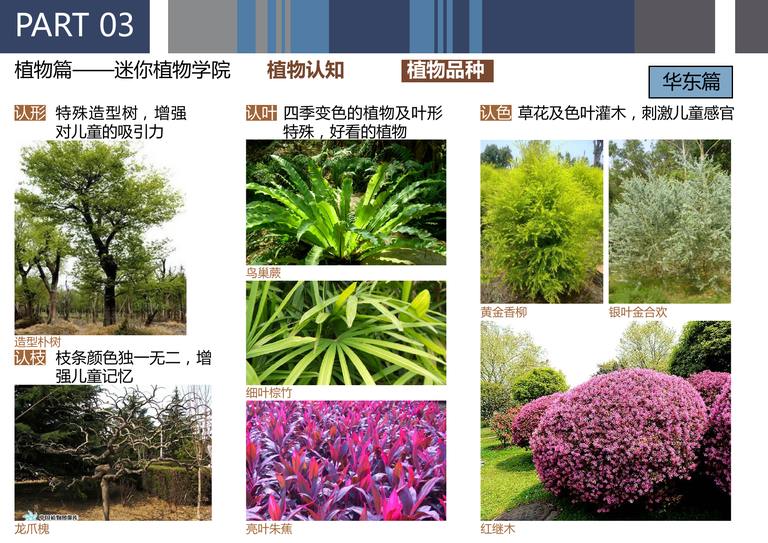 旭辉全龄社区景观产品设计标准｜116页PDF 内容预览